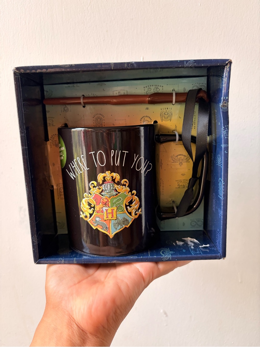 Harry Potter Black Hogwarts Crest Mug - 'Where to Put You?'